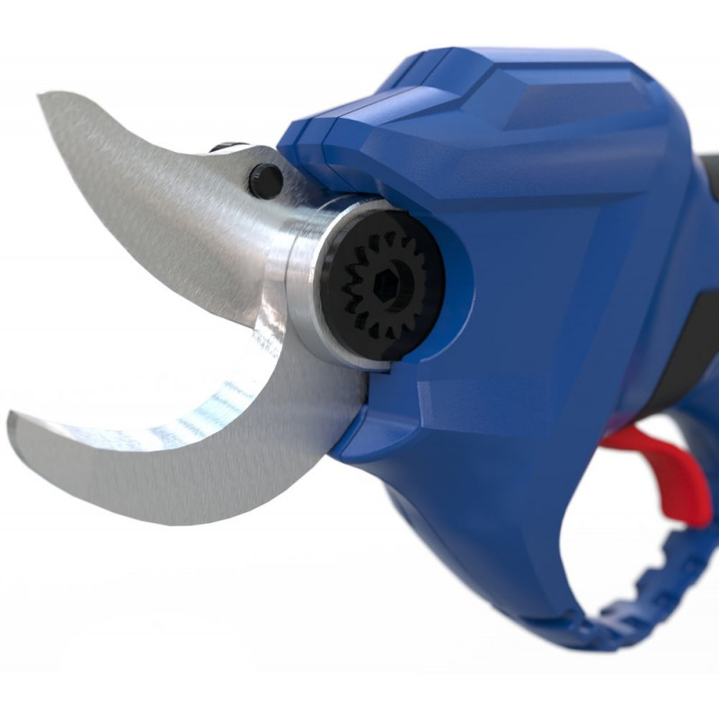 aku-noznice-na-konare-asc-18-0-2