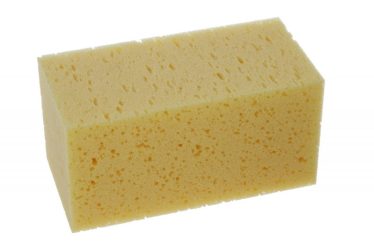 Huba morská kocka  37026