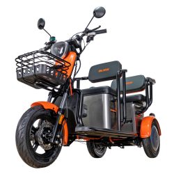 RURIS PILOT 3020G e-trojkolka šedá